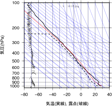 エマグラム画像