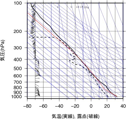エマグラム画像