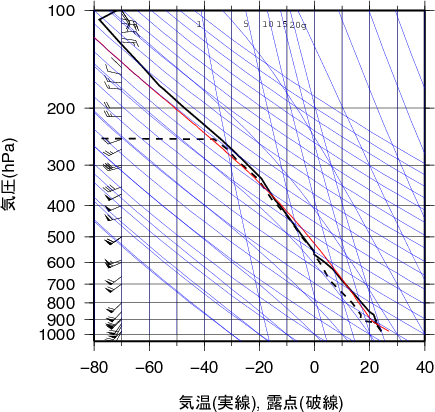 エマグラム画像