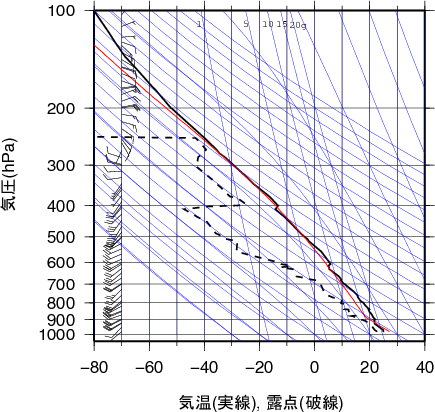 エマグラム画像