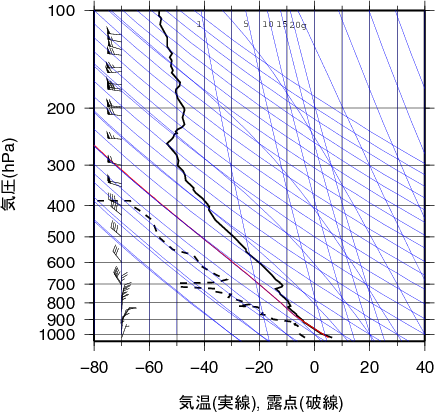 エマグラム画像