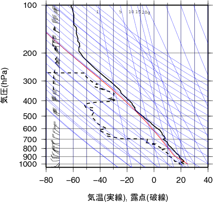 エマグラム画像