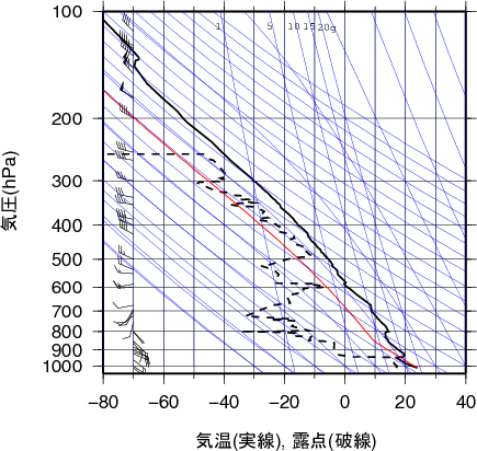 エマグラム画像