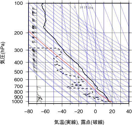 エマグラム画像