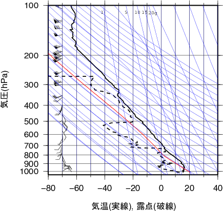 エマグラム画像