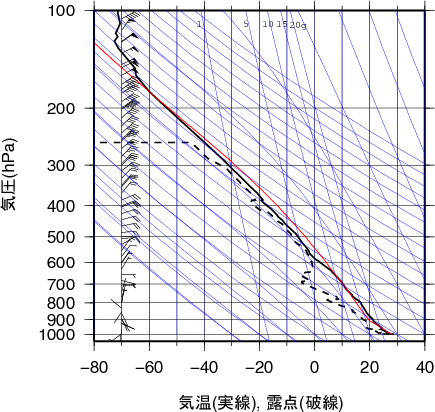 エマグラム画像
