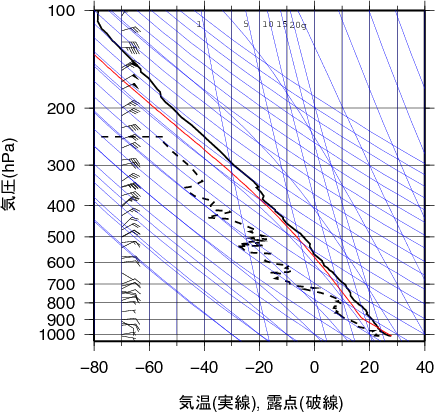 エマグラム画像