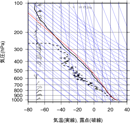 エマグラム画像