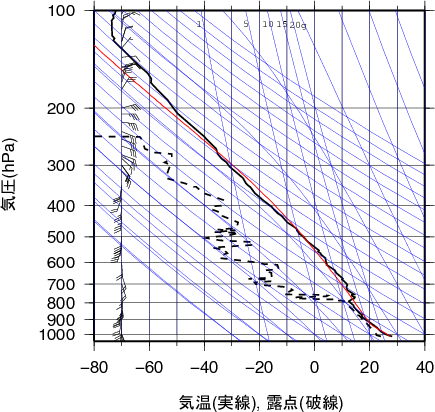 エマグラム画像