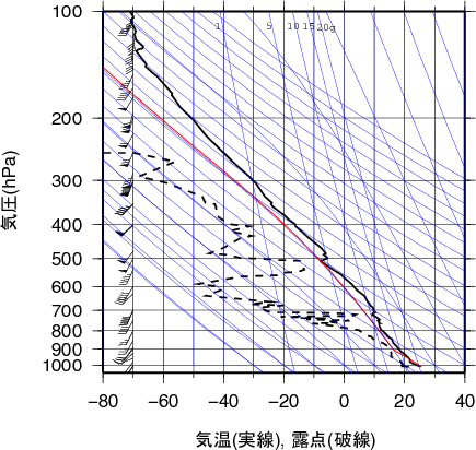 エマグラム画像