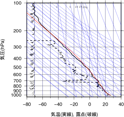 エマグラム画像