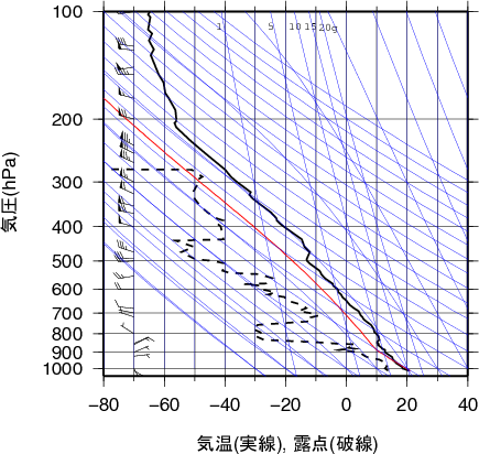 エマグラム画像
