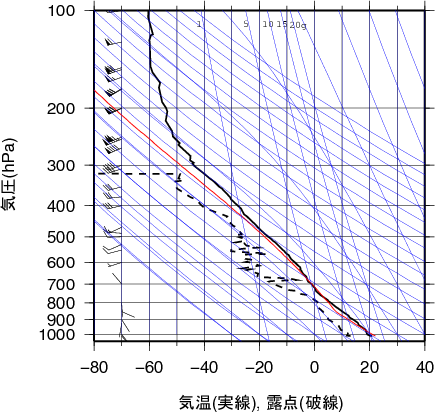 エマグラム画像