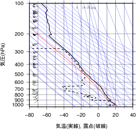エマグラム画像