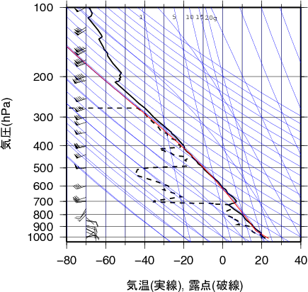 エマグラム画像