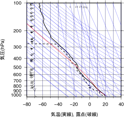 エマグラム画像