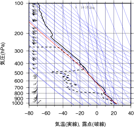 エマグラム画像