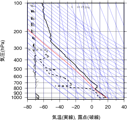 エマグラム画像