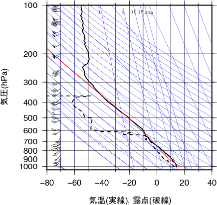 エマグラム画像