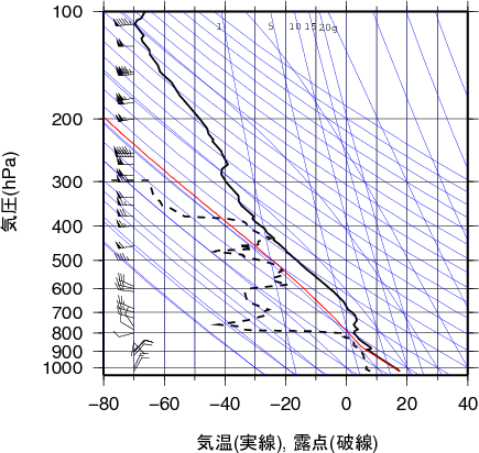 エマグラム画像