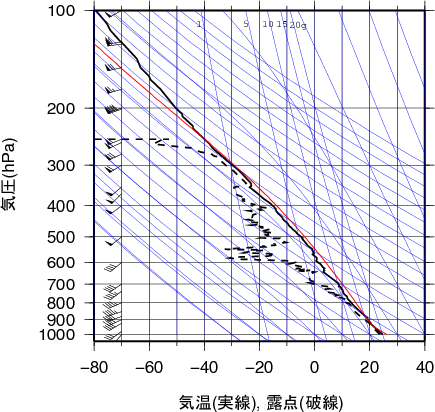 エマグラム画像