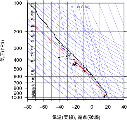 エマグラム画像