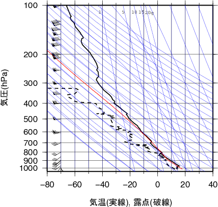 エマグラム画像