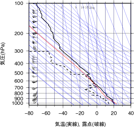 エマグラム画像