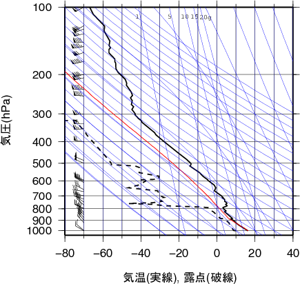 エマグラム画像