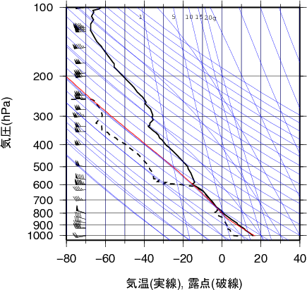 エマグラム画像