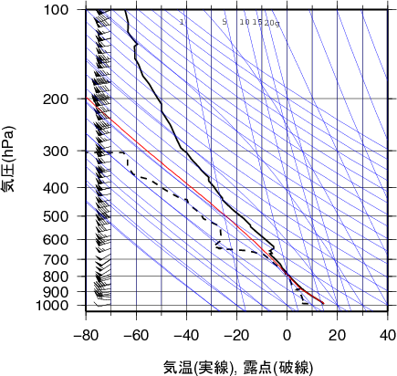 エマグラム画像