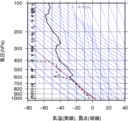エマグラム画像
