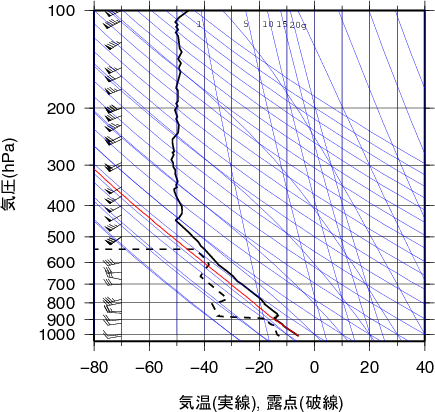 エマグラム画像