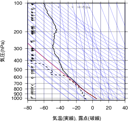 エマグラム画像