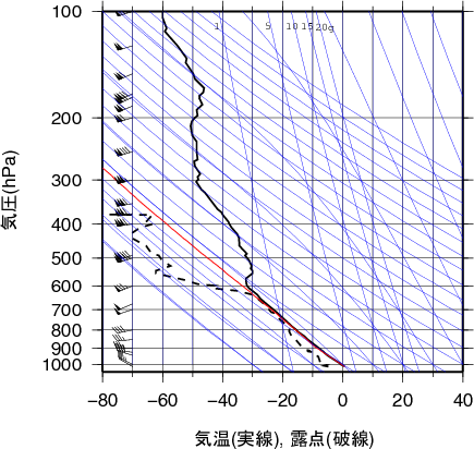 エマグラム画像