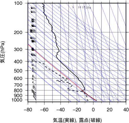 エマグラム画像