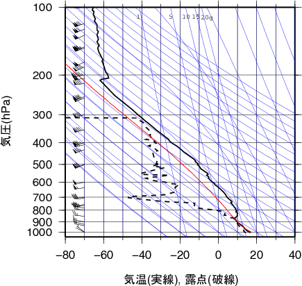 エマグラム画像