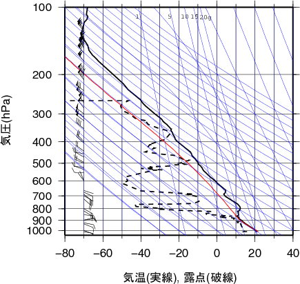 エマグラム画像