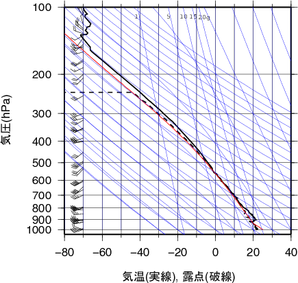 エマグラム画像