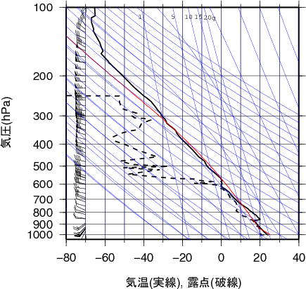 エマグラム画像