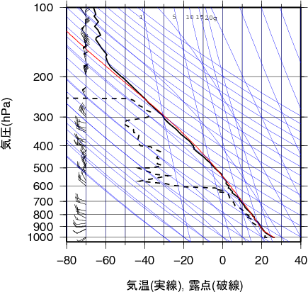 エマグラム画像
