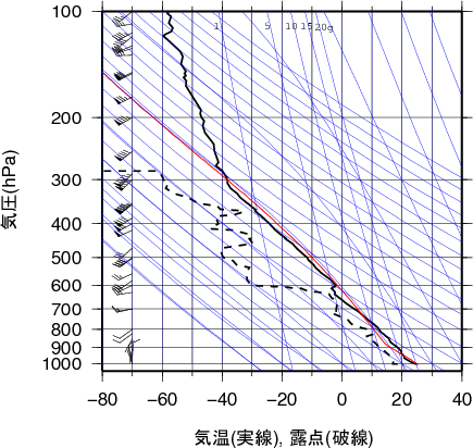 エマグラム画像