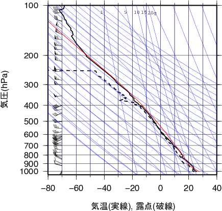 エマグラム画像