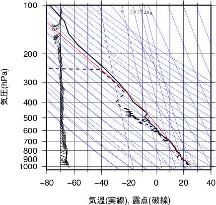 エマグラム画像
