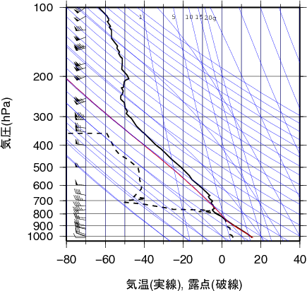 エマグラム画像