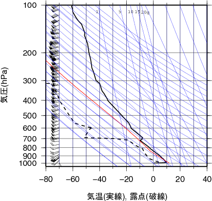 エマグラム画像
