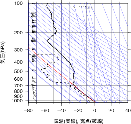 エマグラム画像