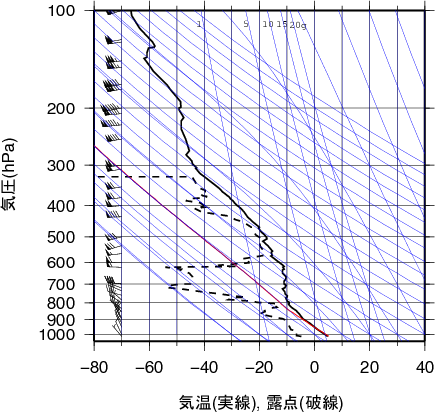エマグラム画像