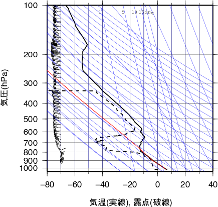 エマグラム画像