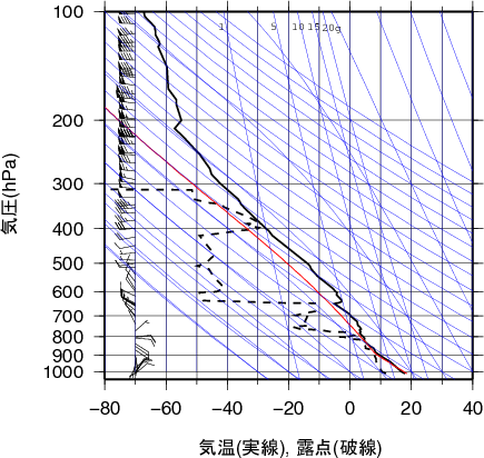 エマグラム画像